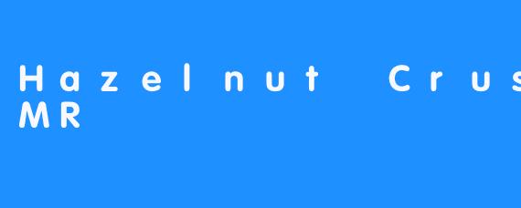 [榛果轻语：一场ASMR的甜蜜邂逅]